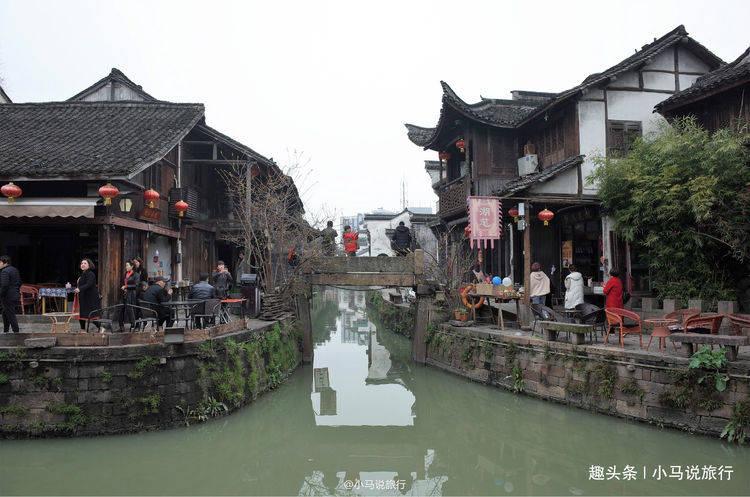 为什么说“梅花香自苦寒来?”-专业问答平台,解决你的疑惑!
